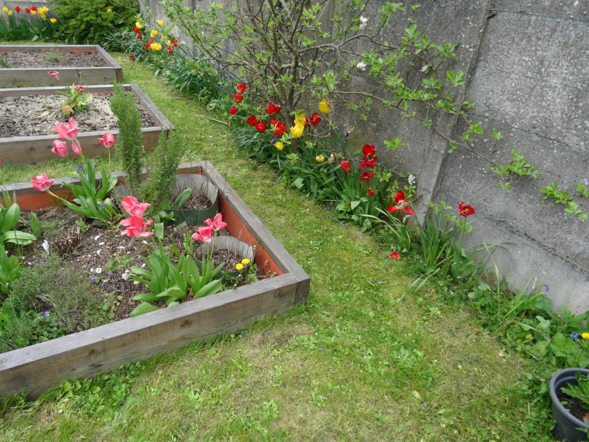 Maison D'Hotes Les Roses Tremieres 萨克莱 外观 照片