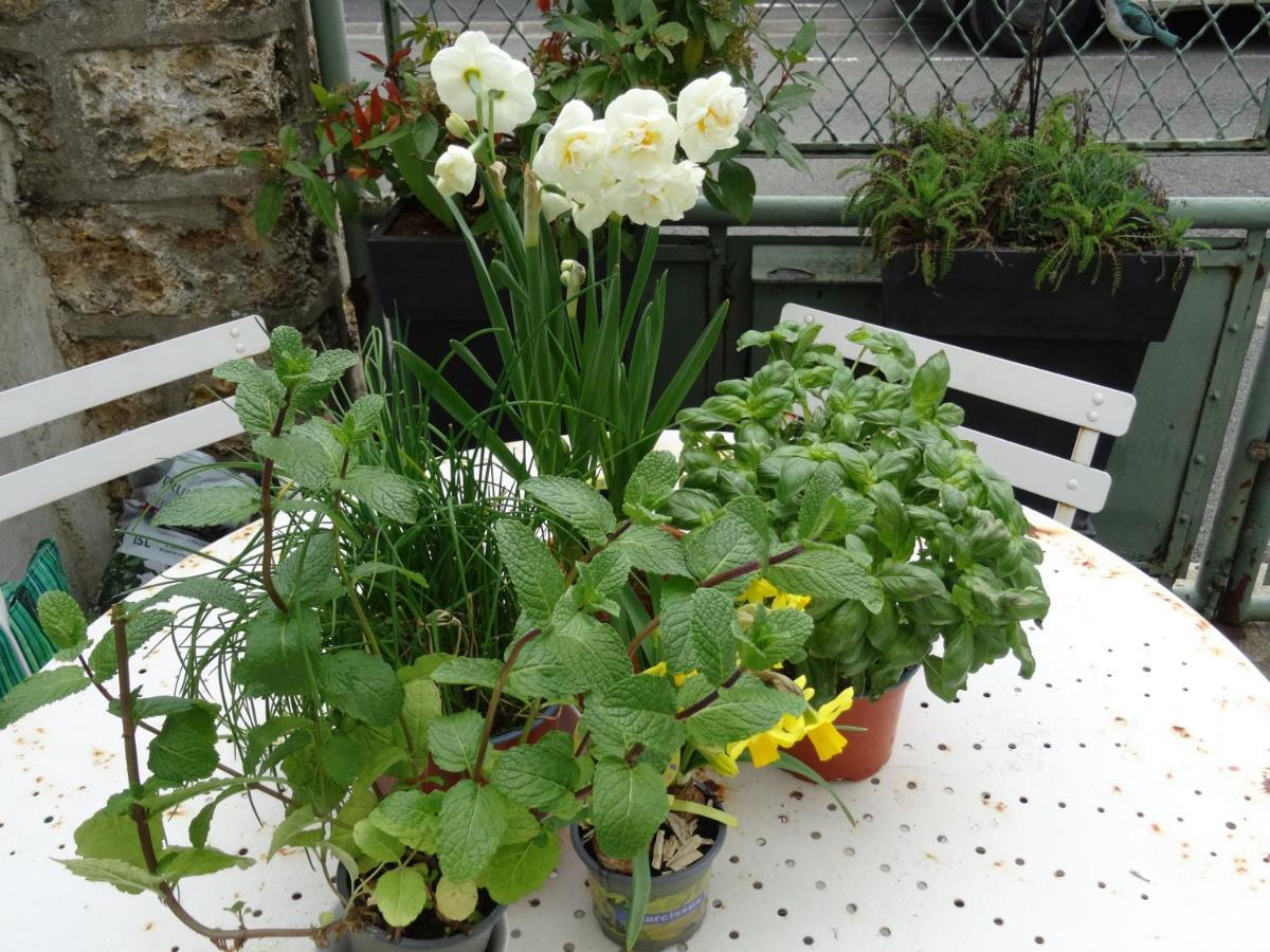 Maison D'Hotes Les Roses Tremieres 萨克莱 外观 照片