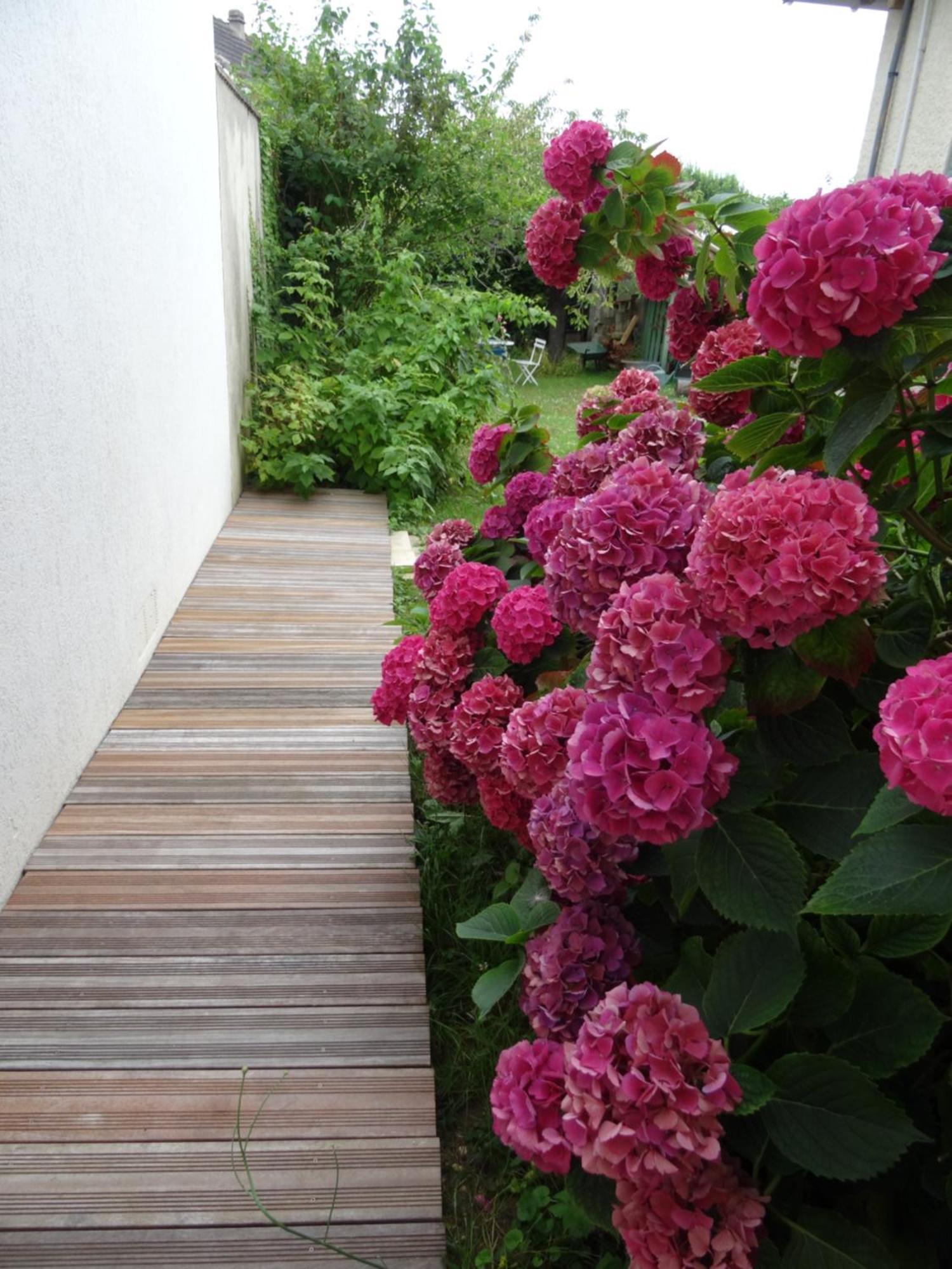 Maison D'Hotes Les Roses Tremieres 萨克莱 外观 照片