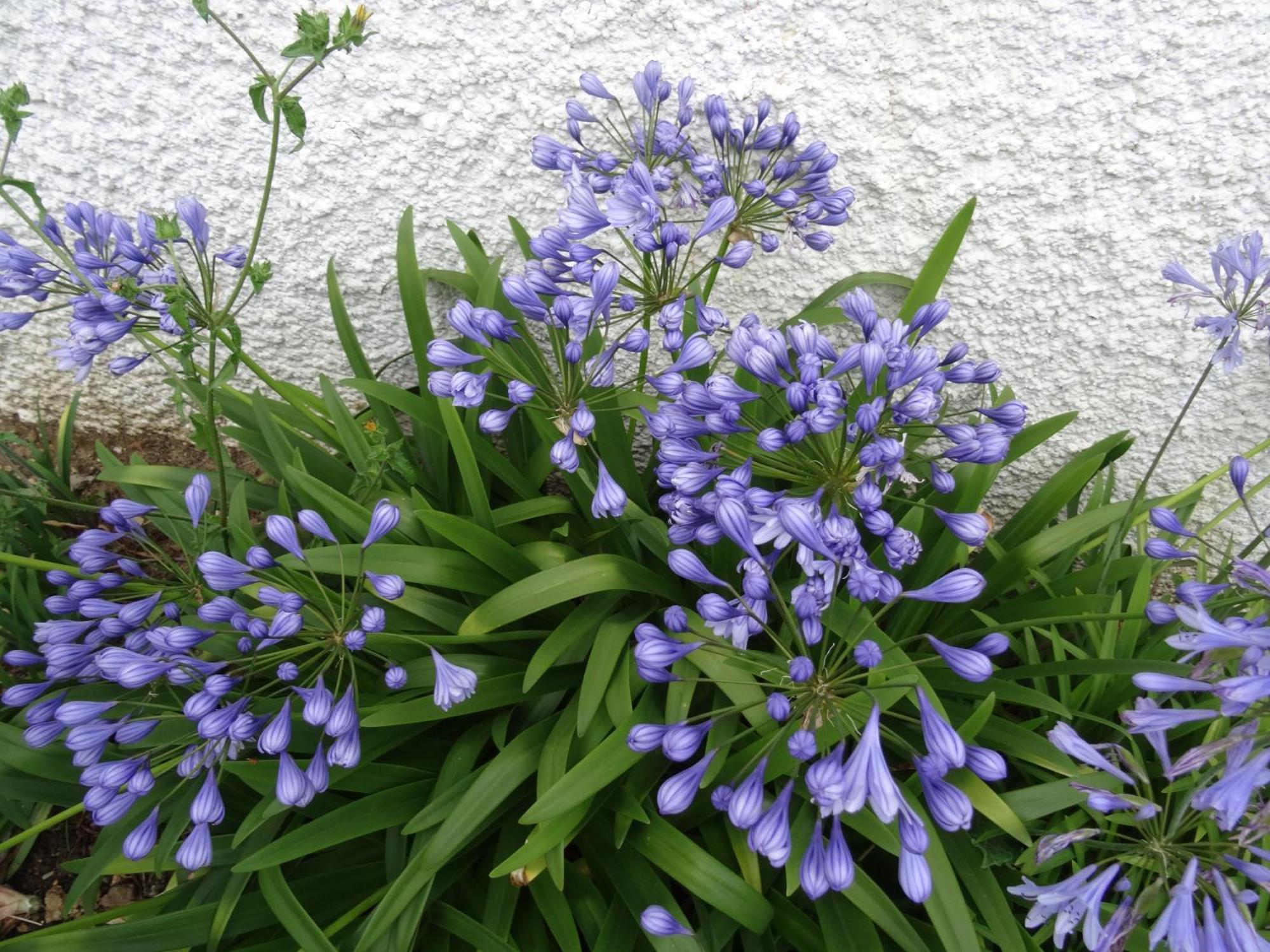 Maison D'Hotes Les Roses Tremieres 萨克莱 外观 照片